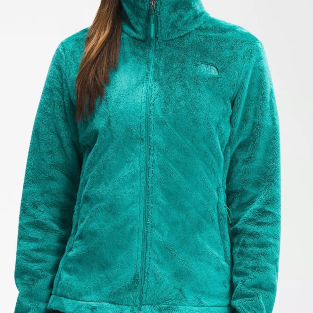 Medium Teal / Blue Fuzzy North Face jacket